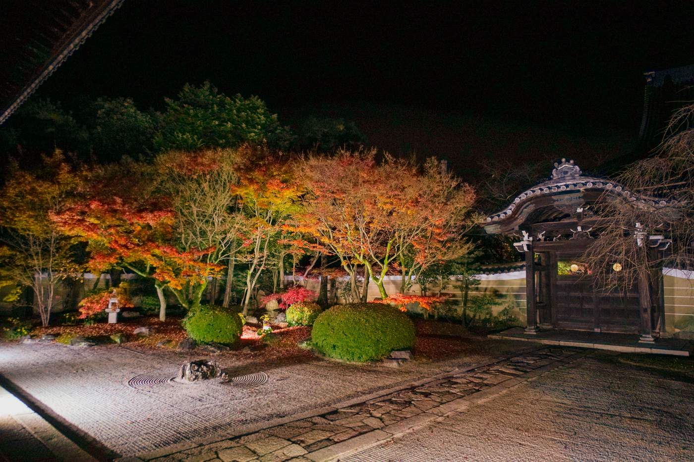 2019年秋 25