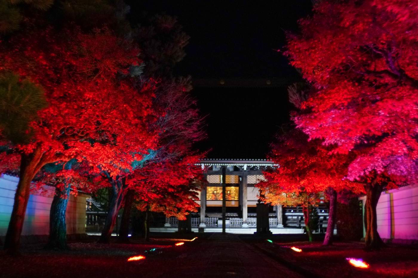 2019年秋 31