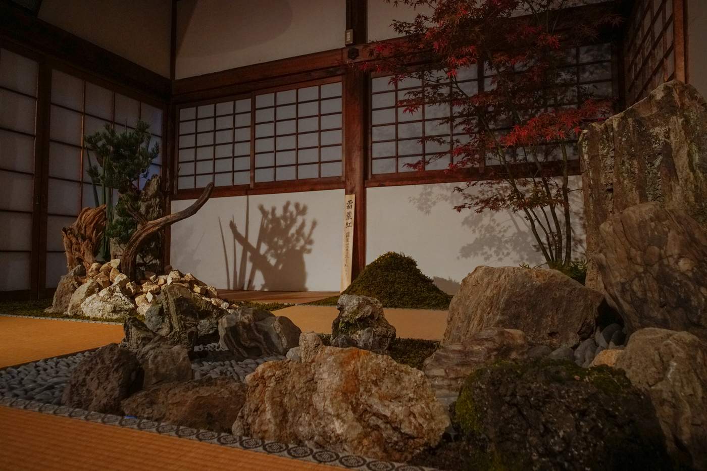 2019年秋 80