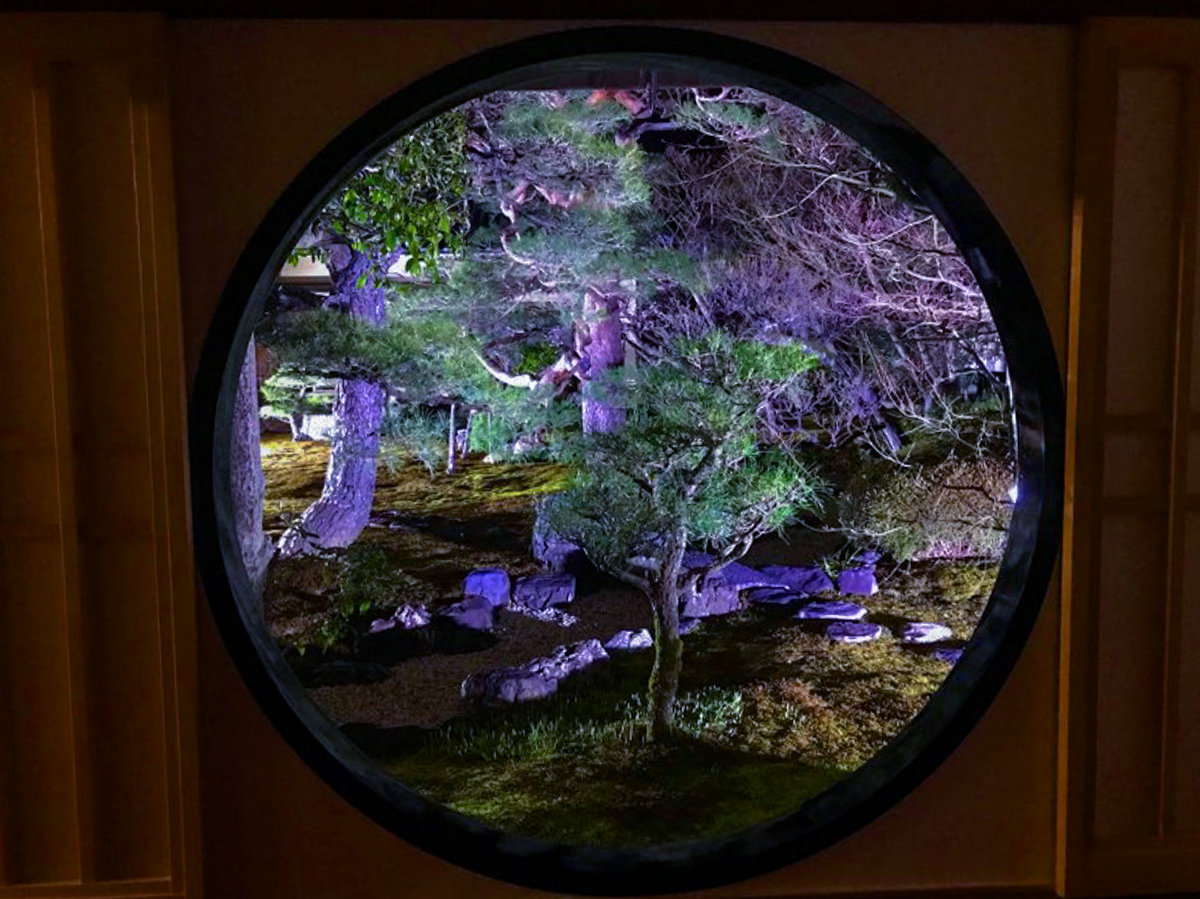 2019年春 妙顯寺 2