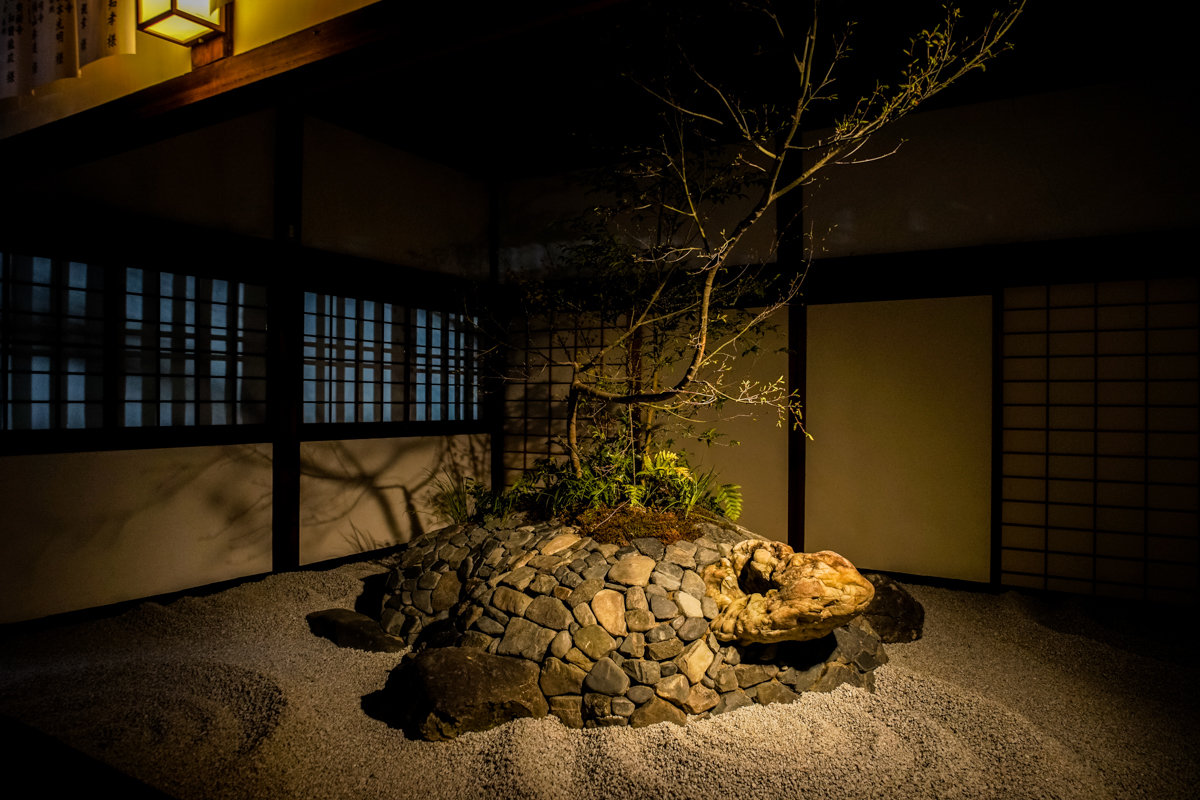 2019年春 妙顯寺 4