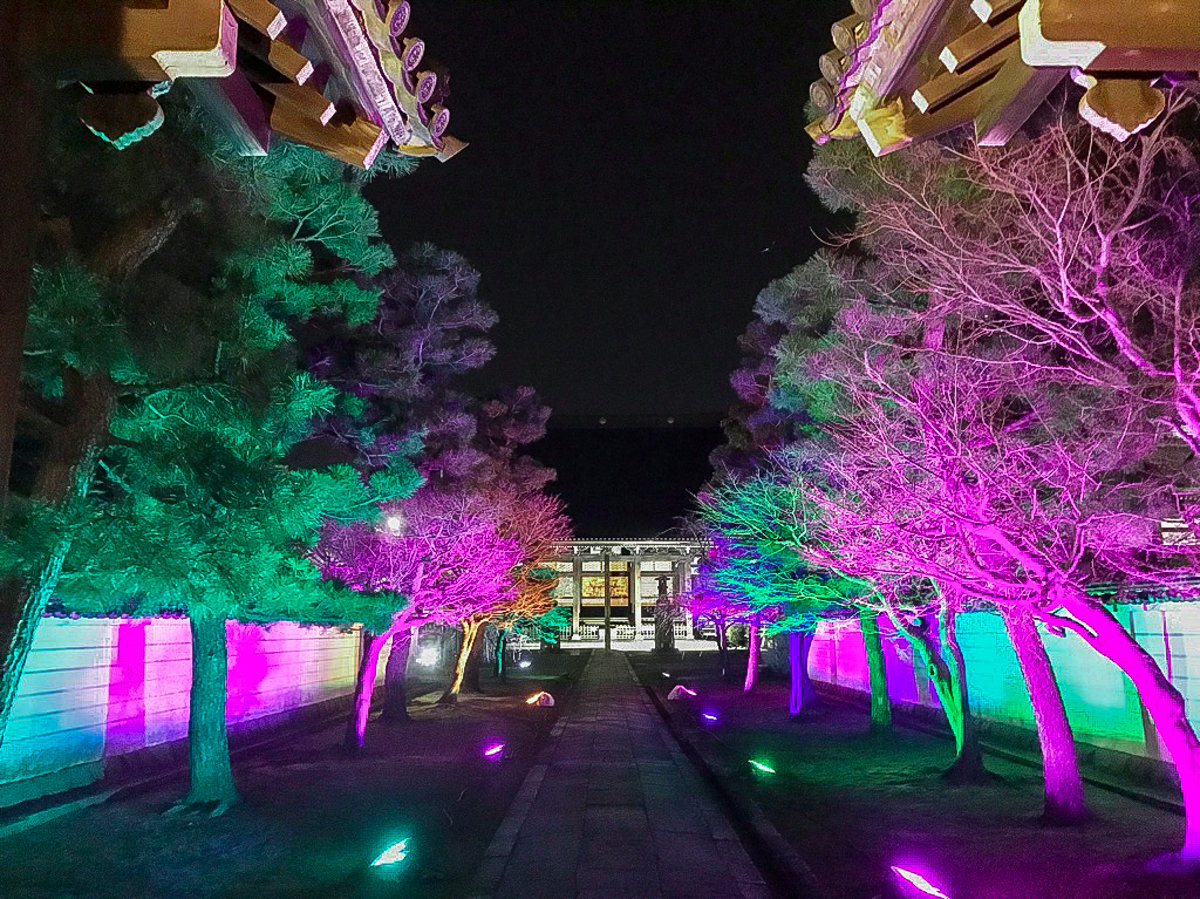 2019年春 妙顯寺 11