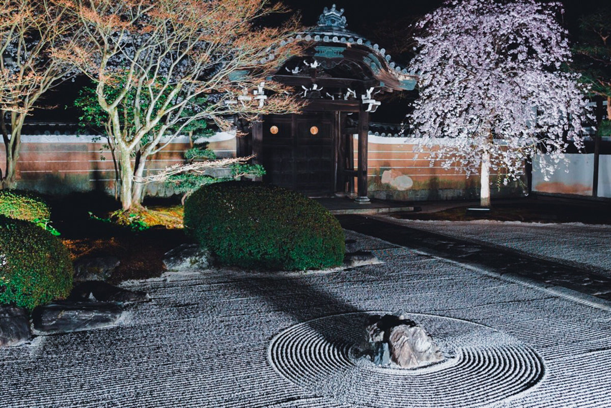 2019年春 妙顯寺 12