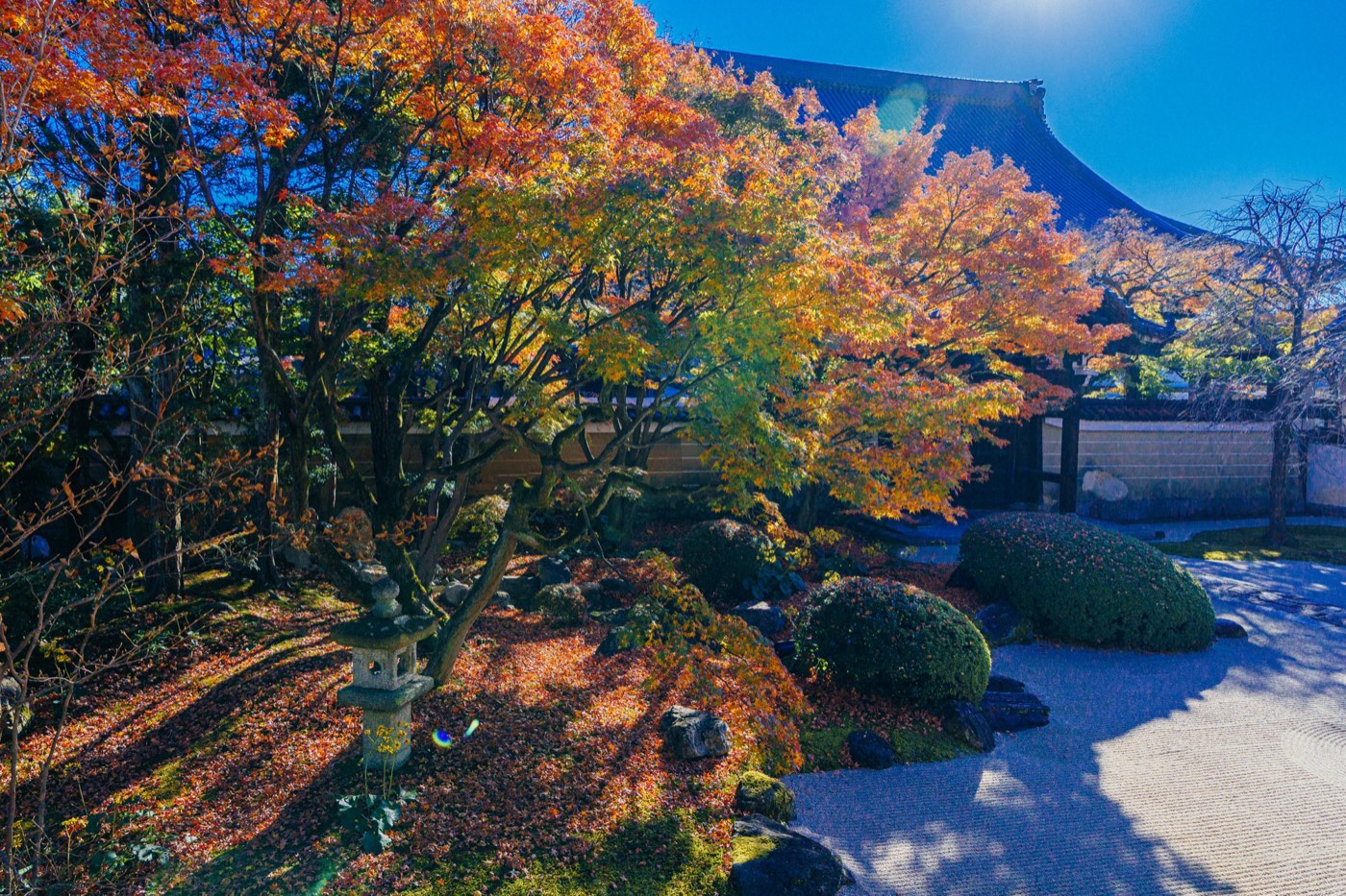 2020年秋 妙顯寺 9