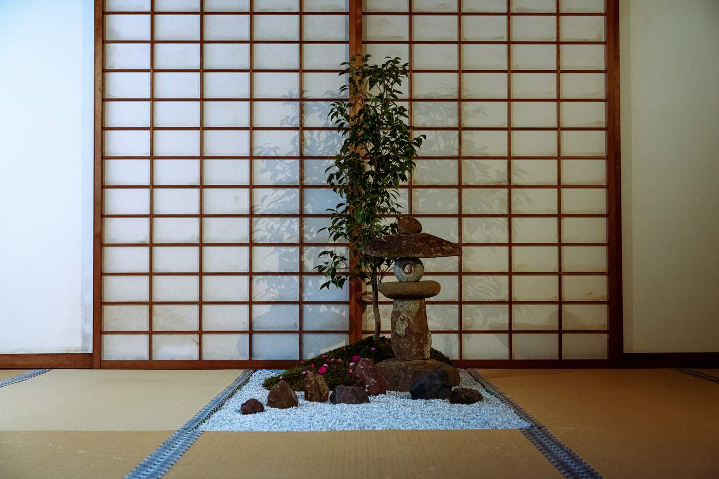 2023年秋 38