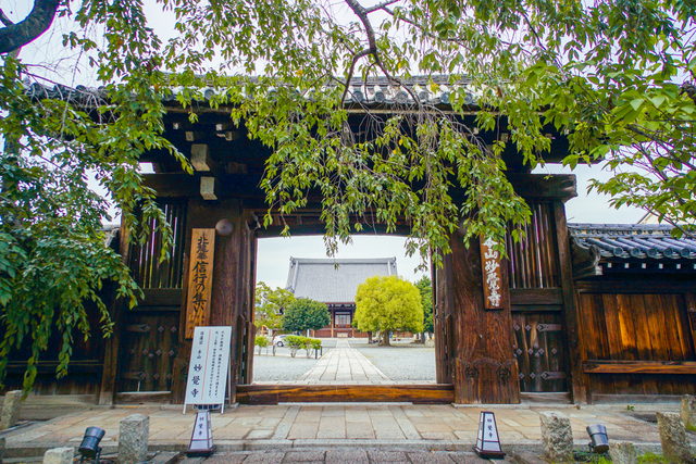 妙覺寺の山門