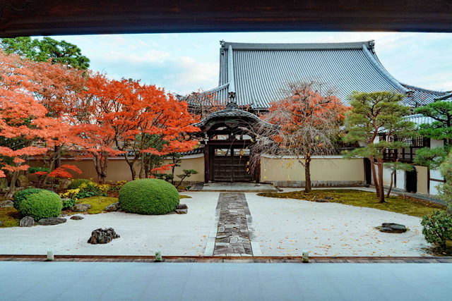 妙顯寺 紅葉の庭