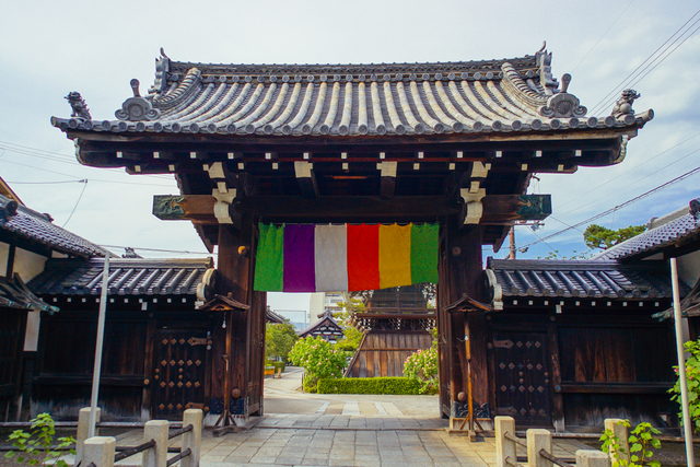 妙蓮寺の山門