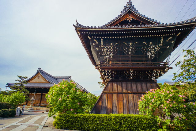 妙蓮寺の鐘楼と本堂