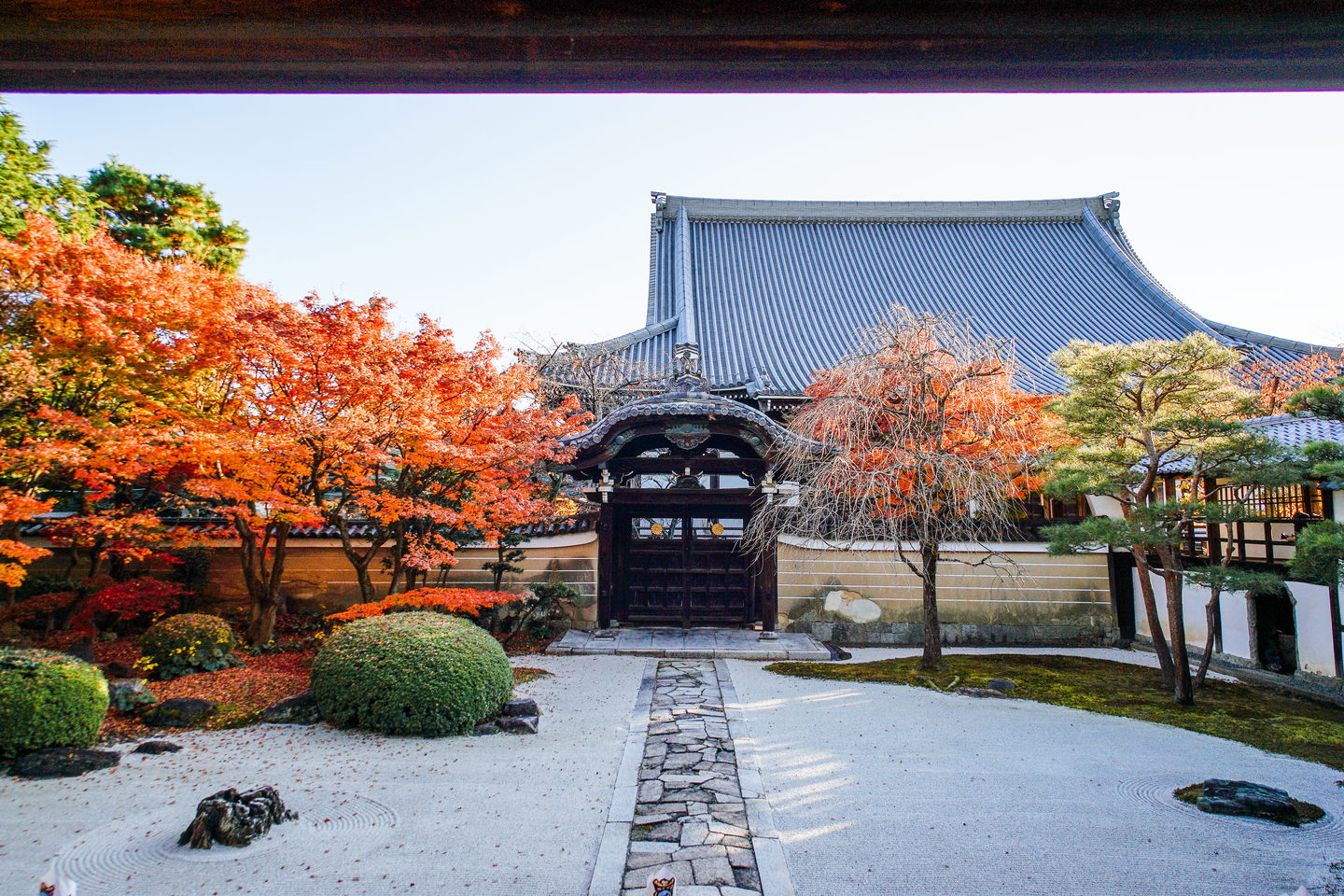妙顯寺